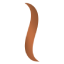 Icoon