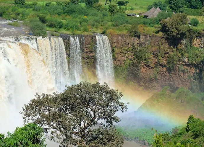 Ervaar de authentiek smaak van koffie uit Ethiopië