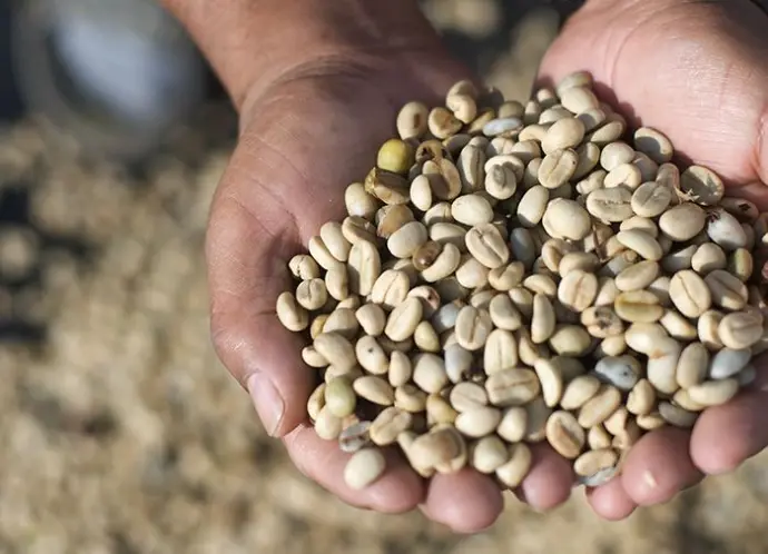 Bright Colourful Guatemala bijzondere koffie