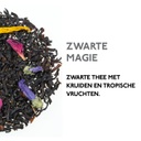 Kaldi Zwarte Thee Proefpakket – 5 zakjes + Teeli Theefilters