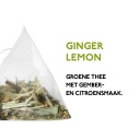 Piramide theezakjes - Ginger Lemon